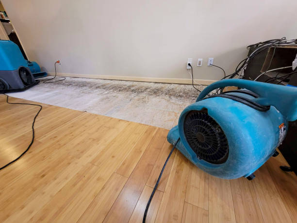 Reliable Basement Flood Cleanup contractor in Ashland, VA by Hirex Water Damage
