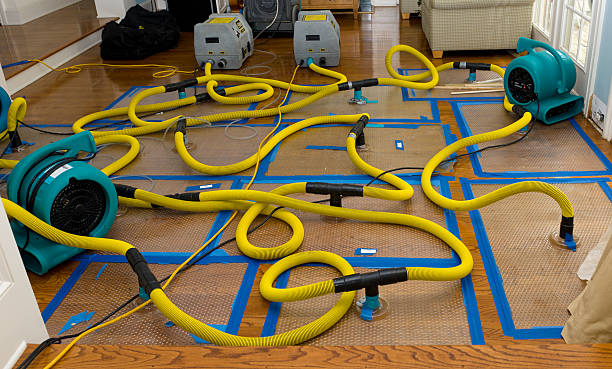 Professional Basement Flood Cleanup technician working in Ashland, VA